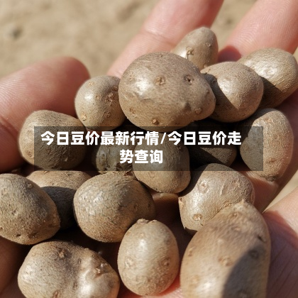 今日豆价最新行情/今日豆价走势查询