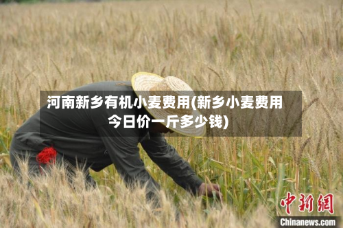 河南新乡有机小麦费用(新乡小麦费用今日价一斤多少钱)