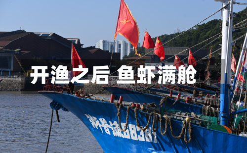 开渔之后 鱼虾满舱