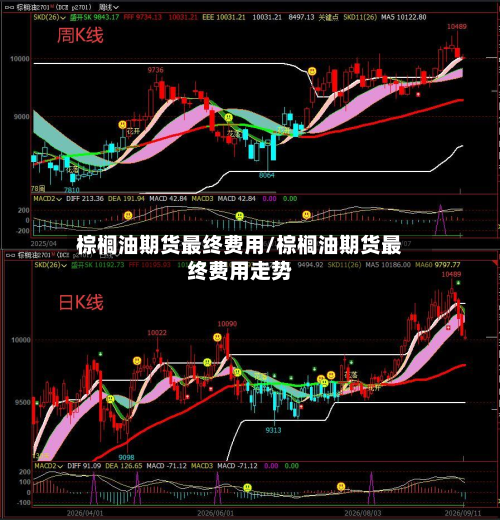 棕榈油期货最终费用/棕榈油期货最终费用走势